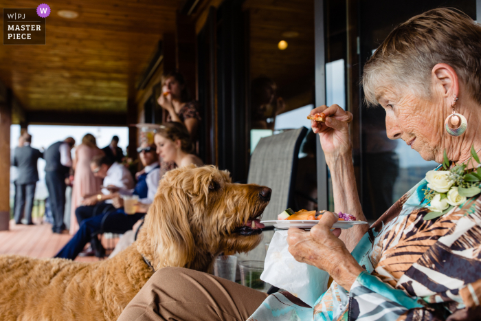 Trouwfotografie in Montana uit Philipsburg van oma die een hond treitert met hors d'ouvres