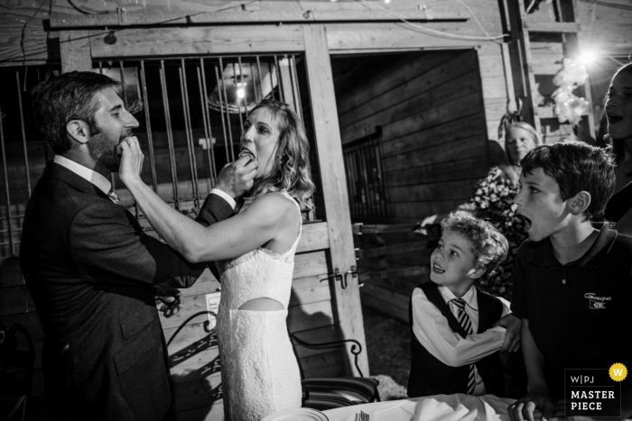 CO wedding reception photo from a barn event in Parker during the Cake Cutting 