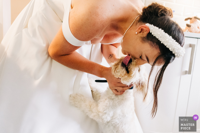 La sposa si china nel suo vestito per baciare il suo cucciolo in questa immagine del matrimonio dalla casa della sposa nel West Sussex, in Inghilterra