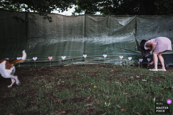 Un témoin de Guingamp, en France, plante des cœurs à l'endroit de la cérémonie de mariage en plein air