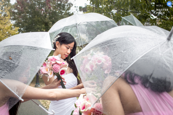 Tri des bouquets sous la pluie au parc Victoria à Kitchener, Ontario