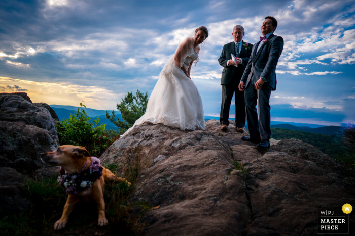 Shenandoah National Park Hochzeitsbild eines Paares, das über ihren Hund während ihrer Gelübde bei Point Overlook lacht