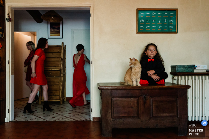 O fotógrafo de casamento francês capturou esta imagem de um gato em Oradour-sur-glane França Entrando na casa