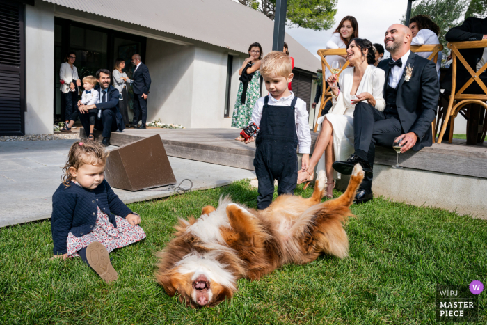 Montpellier, Francia, imagen de la recepción de la boda de los niños, el perro riendo y la pareja durante un discurso