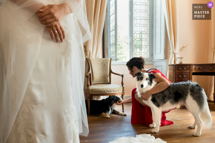 Photographe de mariage de Limoges au Château Rocher faisant des photos d'un chien pendant la préparation