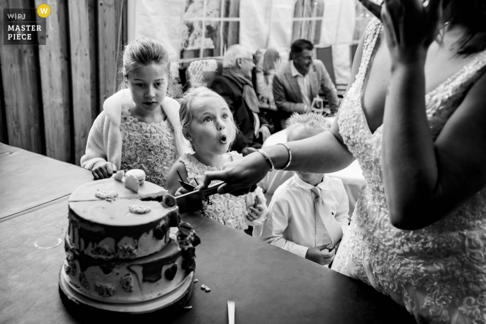 Fotografía de la boda de Noord Brabant en casa que muestra a los niños cortando el pastel