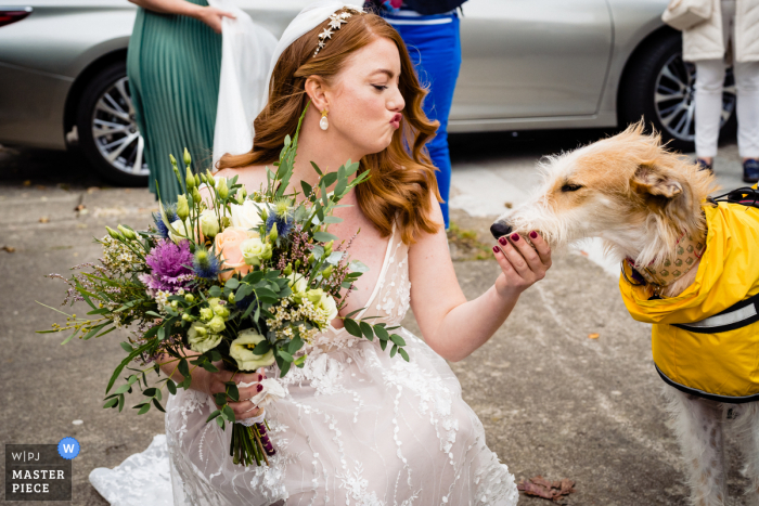 Trouwreportagefotografie in Dublin van een Leinster-bruid met haar hond en bloemen in het stadscentrum van Dublin