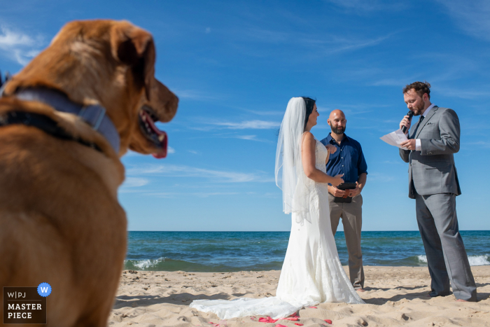 Foto da noiva e do noivo se casando enquanto um cachorro assiste durante uma cerimônia na praia em Gary, Indiana