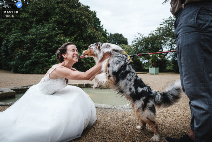 Foto del matrimonio di un cane dalla sede del ricevimento in Bretagna - Voglio abbracciare la mamma