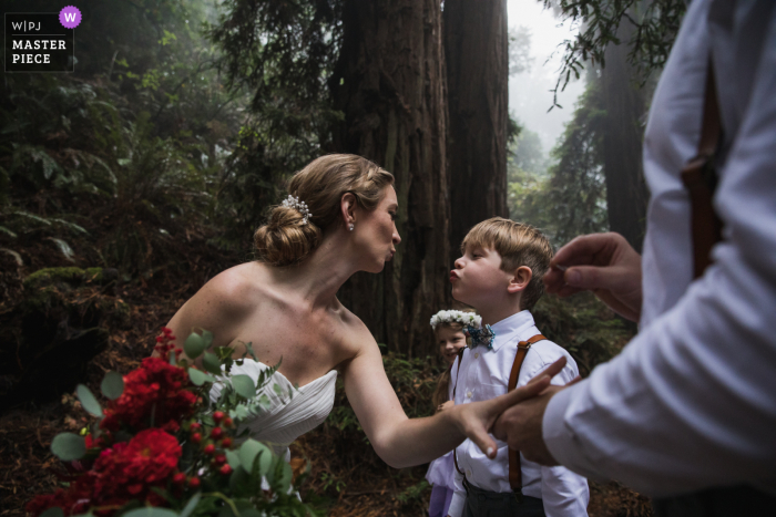 Hochzeitsfotografie von einer Zeremonie in einem majestätischen Redwood-Hain in Marin County, Kalifornien. Der Wald war von einer mystischen Nebelschicht umgeben