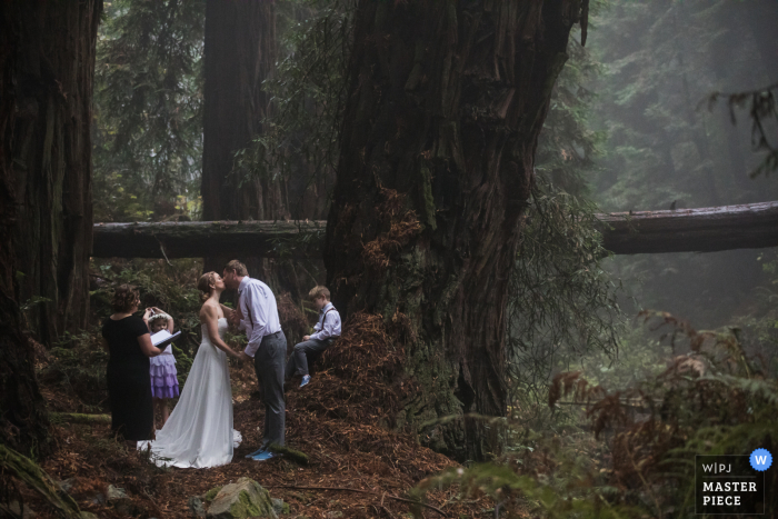 Photo by: <a href="https://www.wpja.com/contests/2020-v05/best-wedding-photographers/2608904">Drew Bird - Oakland California</a> California wedding photography from A majestic Redwood grove near Mt. Tam in Marin County
