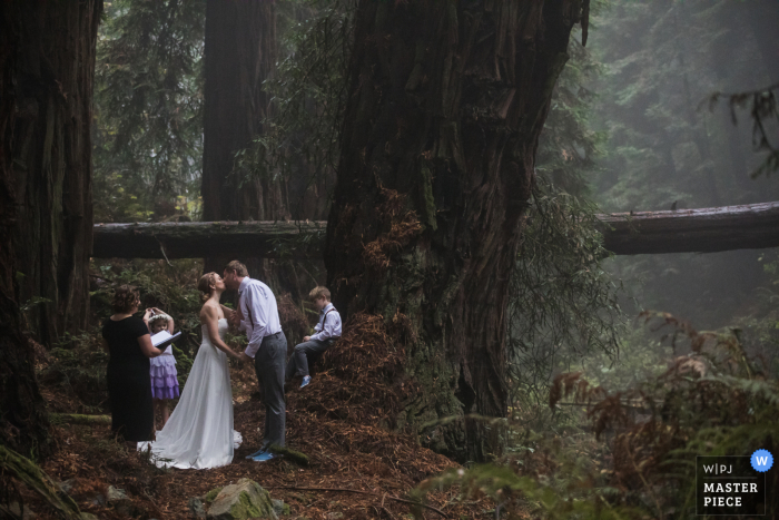 Fotografia de casamento na Califórnia em Um majestoso redwood grove perto do Monte. Tam no condado de Marin