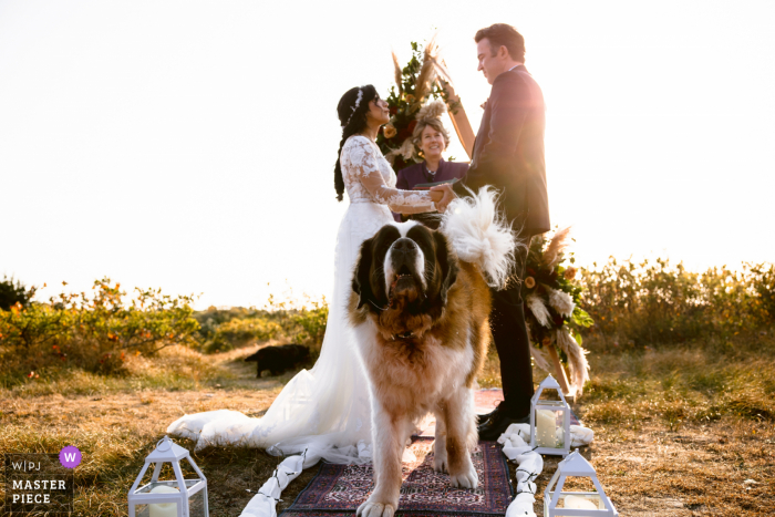 Hochzeitsfoto von Massachusetts im Freien von Chatham MA, das einen Hund zeigt, der versucht, die Zeremonie zu stoppen