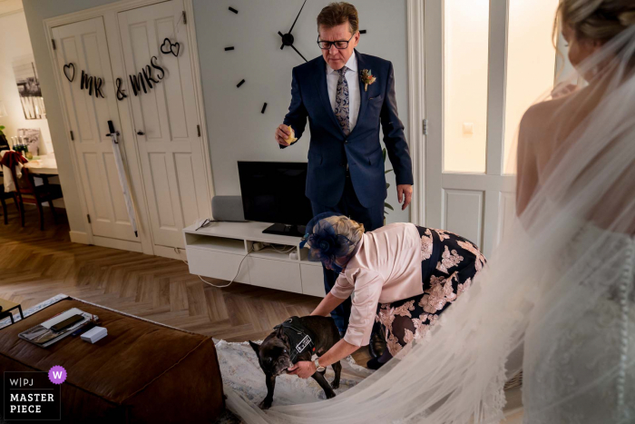 L'immagine del matrimonio olandese dei genitori della sposa, che ha portato il loro cane, sta facendo un viaggio di scoperta sul velo