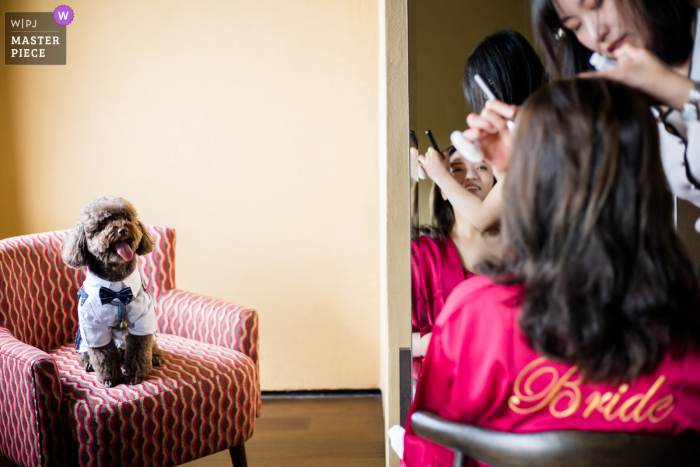 Huzhou China huwelijksfotografie van de hond en bruid in make-up voorbereiding