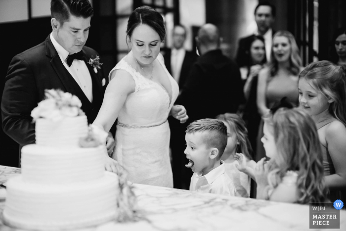 Un famoso fotografo di matrimoni di San Antonio all'Hotel Emma ha catturato questa foto di Texas Kids mentre erano bambini durante il taglio di una torta cake