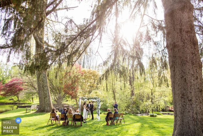 Un fotografo di matrimoni dell'Appleford Estate in Pennsylvania ha creato questa immagine che mostra un'ampia vista di una cerimonia intima all'aperto sotto gli alberi maturi