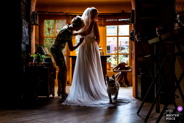 Immagine pluripremiata del momento della preparazione del matrimonio ad Amsterdam che cattura il cane che cammina sul vestito della sposa durante la preparazione. I migliori concorsi di immagine per matrimoni al mondo sono tenuti dal WPJA