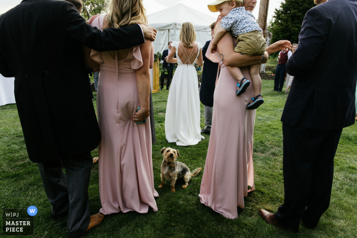 Photo primée de la réception de mariage en plein air dans le Kent, au Royaume-Uni, qui a enregistré le chien de la famille pendant les discours. Les meilleurs photographes de mariage au monde concourent à la WPJA