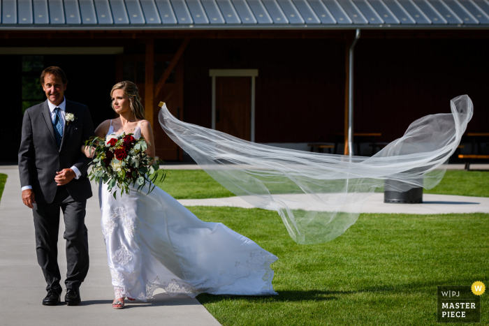 Sweetheart Winery, Loveland trouwdag bekroonde afbeelding. De wind blies fel en nam de sluier van de bruid uiteindelijk hoog in een boom.