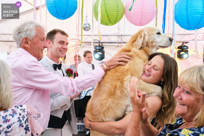 West Peckham, Kent, foto premiata per il ricevimento di matrimonio, che ha registrato il cane della coppia sposata che si unisce a loro sulla pista da ballo alla fine del loro primo ballo