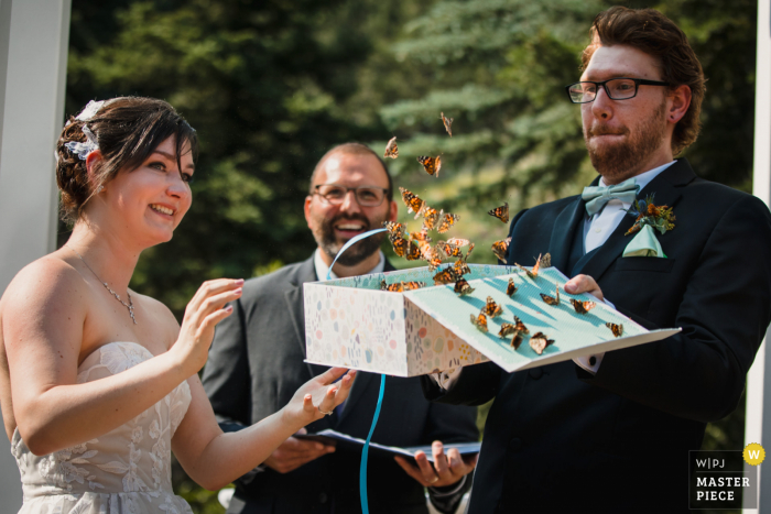 Wedgewood Weddings, Mountain View, preisgekröntes Bild der Hochzeitszeremonie, das das Brautpaar zeigt, wie das Brautpaar Schmetterlinge aus einer Schachtel befreit - aus den weltweit besten Hochzeitsfotografie-Wettbewerben, die von der WPJA präsentiert werden