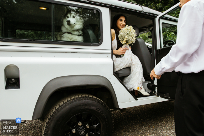 A Kent wedding reportage photographer captured this moment at Longton Wood showing the bride and her dog arriving for the ceremony