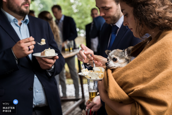 Bekijk dit sleutelmoment bij De Stek in Raamsdonksveer trouwfoto waarop de gasten de bruidstaart eten en de hond kijkt toe