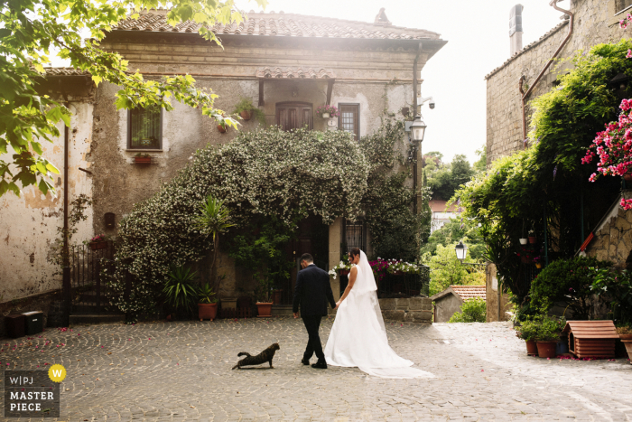 A Formello wedding reportage photographer captured this yoga cat the bride and groom are walking past