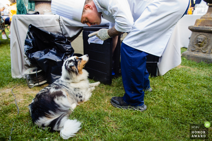 Ein außergewöhnliches Hochzeitsbild von Chateau de Vallery von einem professionellen französischen Fotografen, das einen Hund zeigt, der vom Koch beschimpft wird, während er versucht, den Müll zu essen