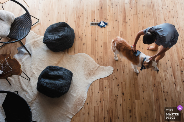 View from above at a Nederland, CO Air b&b as the bride grooms the best dog before the wedding