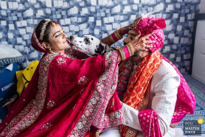 Newlyweds Share Intimate Moment with Beloved Dalmatian in Luxurious Dubai Wedding Setting In this photo taken at a wedding in Dubai, United Arab Emirates, a couple takes a break in their indoor couples room as their Dalmatian dog joins them.
