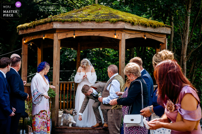 Groom shares fist bump with small dog at Halifax wedding | Heartwarming moment captured at newlywed's special day A heartwarming moment captured as the newlywed groom shares a fist bump with his furry companion at their wedding venue in Halifax.