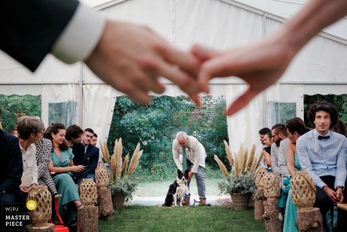 Dog and Rings: A Loyal Companion to Wedded Bliss at L'orangerie du Moulin Bransles The loyal canine rings bearer eagerly waits to join the happy couple as they exchange their vows in the enchanting L'orangerie du Moulin Bransles.