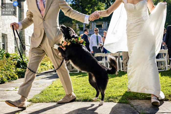 The Marble House Project in Dorset, VT, served as the perfect backdrop for a beloved pup to join in the couple's special day.