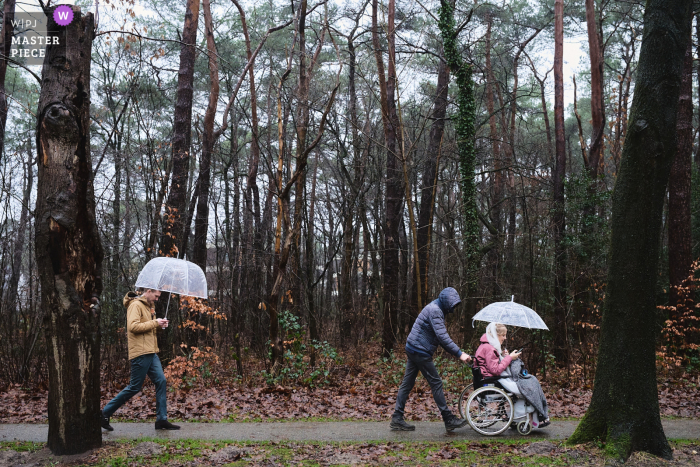In a scenic forest near Amsterdam, Noord Holland, the bride in a wheelchair and the groom walk together, holding umbrellas, creating a romantic, rain-kissed moment. In a forest near Amsterdam, Noord Holland, the bride, in a wheelchair, and the groom walk together holding umbrellas in a romantic, rain-kissed scene.