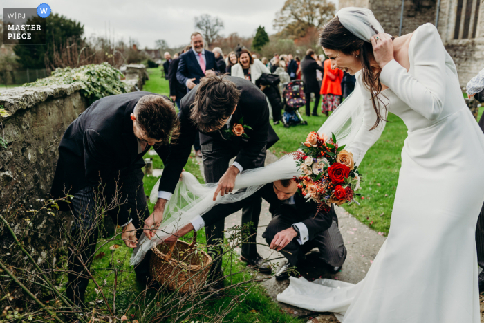   At Pennard House in Somerset, the bride’s veil becomes tangled in a rose bush, prompting ushers to gently work together to free it.