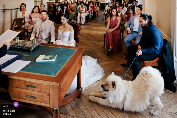   During the town hall ceremony in Paris, all eyes shift to the couple’s dog, who unexpectedly becomes the center of attention and the star of the day.
