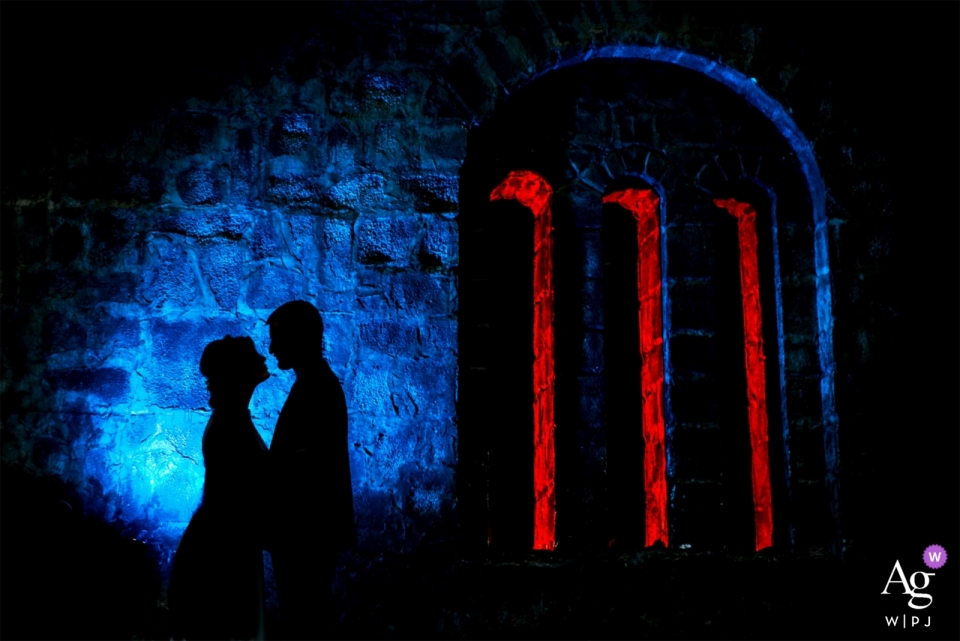 Photo par: <a href="https://www.wpja.com/photos/artistic-wedding-photographers/2558551"> Tamara Gavrilovic - Chicago, Illinois Smederevo Fortress, Serbia Portrait de jeune mariée éclairée