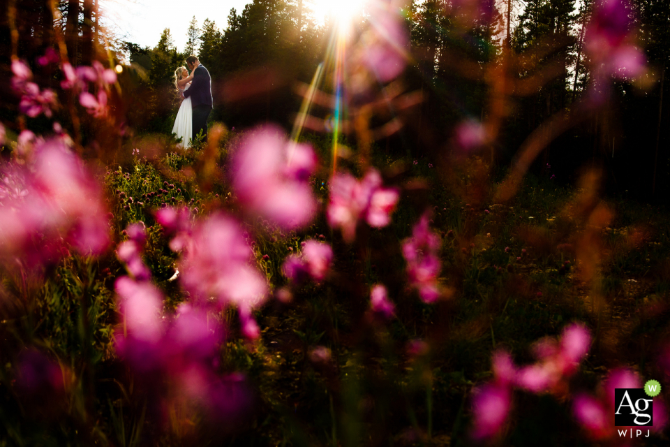 Tenmile Station, Breckenridge, CO wedding venue couple portrait Tenmile Station, Breckenridge, CO wedding venue pictures | The last bits of sun piercing through the pine trees, illuminating the beautiful purple wildflowers.