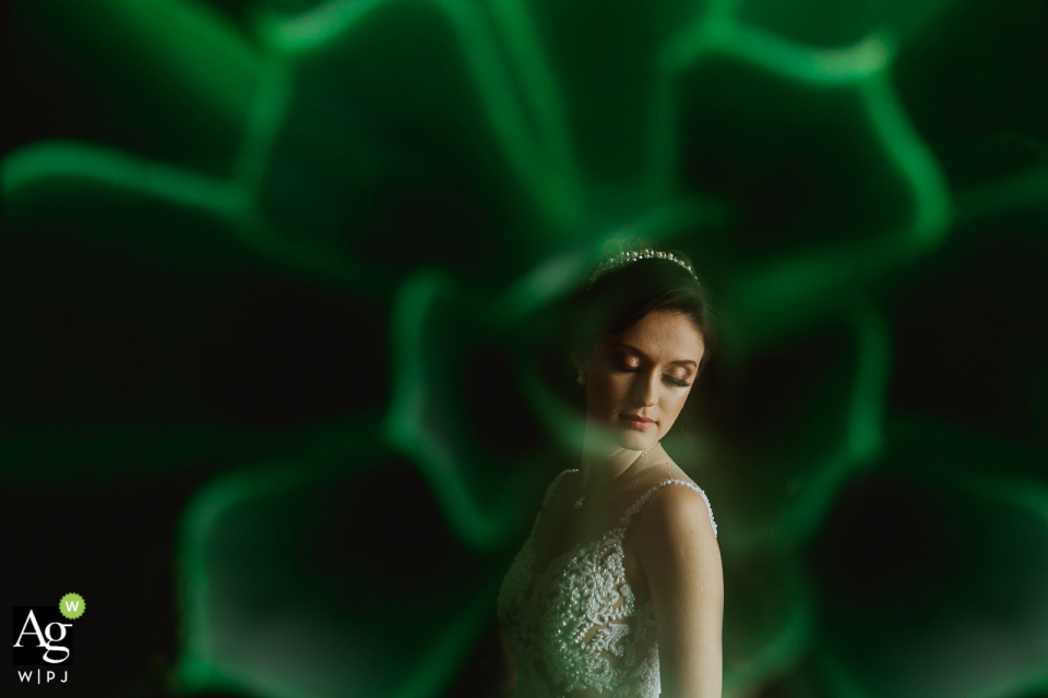 Hotel Weiand Lajeado Brasil wedding venue photo | Portrait of the bride in green artistic and creative image Hotel Weiand Lajeado Brasil wedding venue photo | Portrait of the bride in green image.