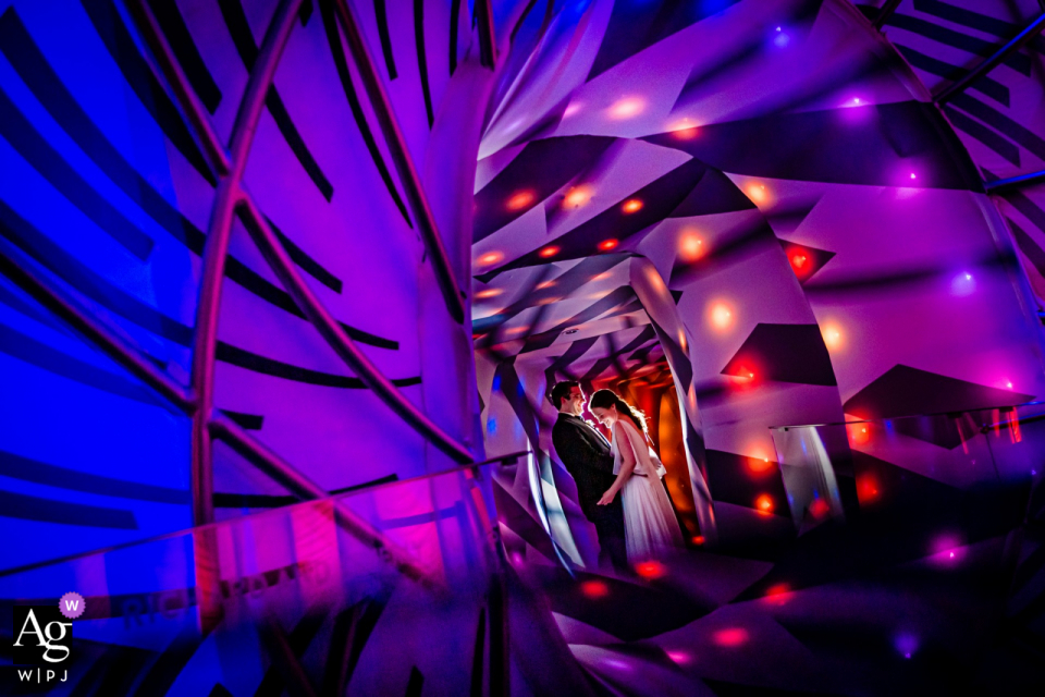 Adler Planetarium, Chicago, IL wedding couple portrait session in a colorful hallway Adler Planetarium, Chicago, IL wedding couple portrait session in a colorful hallway