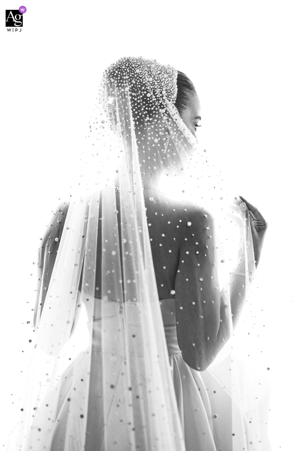 bride holding her wedding veil Bride holding her wedding veil at the Four Seasons Hotel