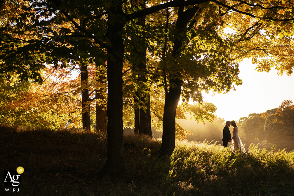 Couple's Tender Forehead Touch Framed by Warm Leaves at Lyman Estate, Waltham Wedding At Lyman Estate in Waltham, Massachusetts, a silhouette captures the couple with their foreheads gently touching in the late afternoon light, framed by the warm hues of autumn leaves.