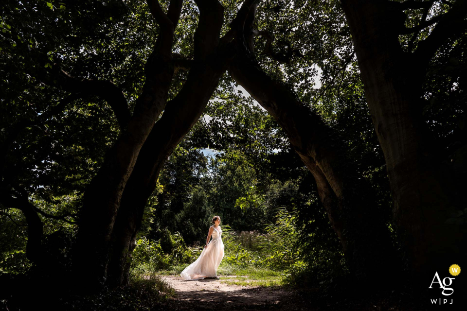 At Buitenplaats Amerongen, the bride walks gracefully in the sun through an incredible forest, beautifully framed by a natural arch of trees, highlighting the enchanting setting.