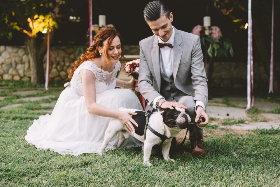 Ktima Gregou, Athens, Greece wedding photo of a couple petting a dog Photo of a couple petting a dog at their Ktima Gregou, Athens, Greece wedding