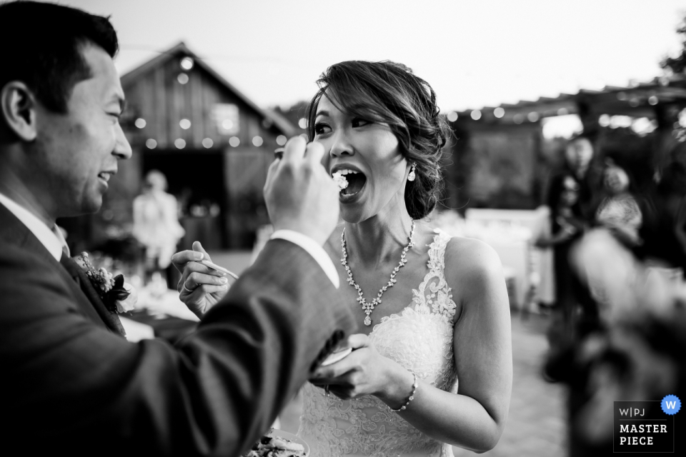 Cake cutting outdoors in black-and-white Cake cutting outdoors in black-and-white at the Regale Winery and Vineyards, Los Gatos