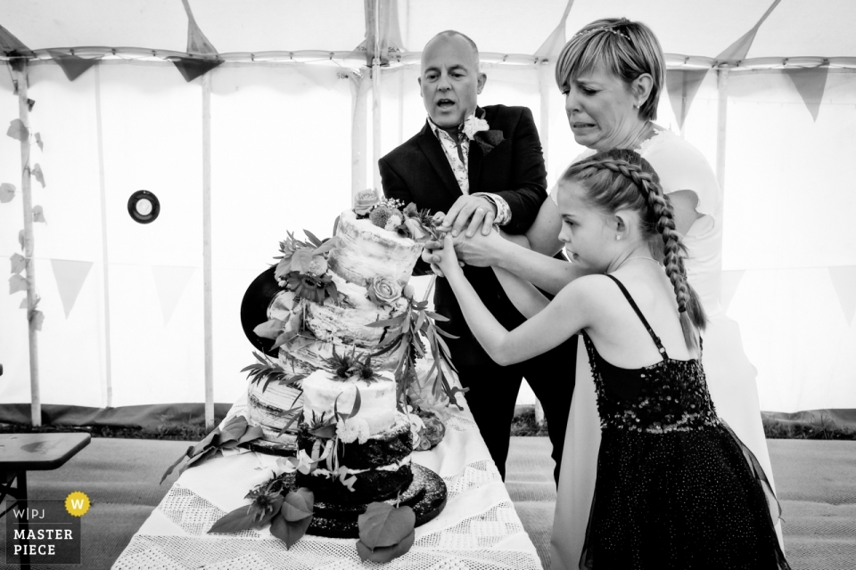 Field Good Bar Wedding Photo of The cake cutting as it didn't quite go according to plan as it topples...brides face says it all Field Good Bar (Bath) - Wedding Photo - The cake cutting didnt quite go according to plan as it topples...brides face says it all