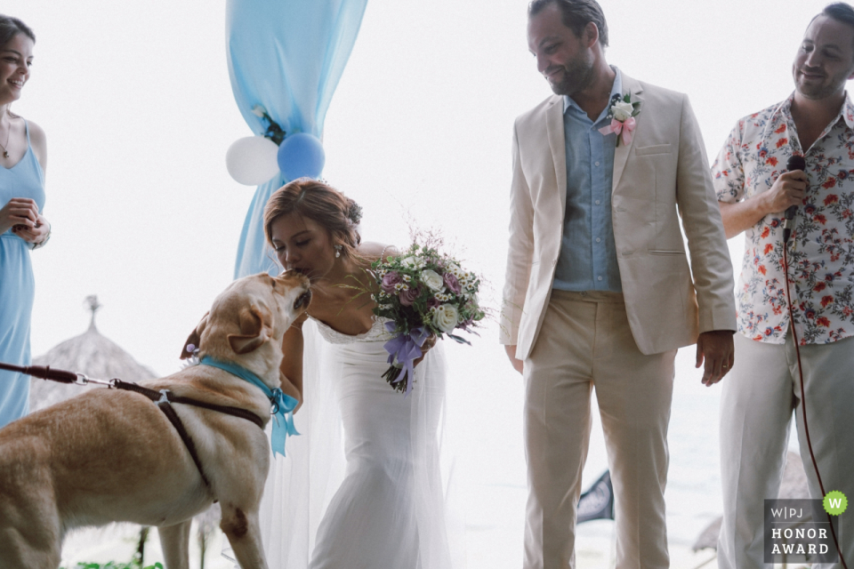 image from the ceremony of the bride kissing her dog Victoria resort Hoi An wedding venue image | Hoi An wedding photography from the ceremony of the bride kissing her dog