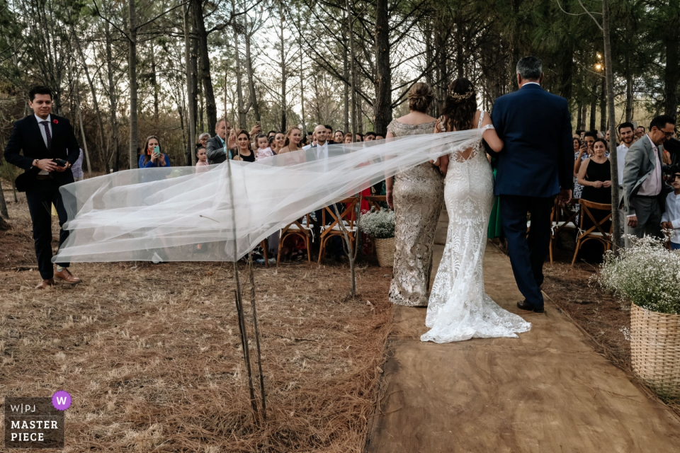 a noiva Andando pelo corredor e seu véu sendo preso Casa Dos Lagos Oaxaca fotos de casamento da noiva Andando pelo corredor e seu véu sendo preso em uma pequena árvore.